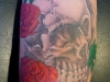 tat-1-079_new