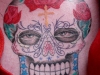 tat-1-097_new