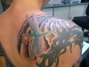 tat-1-108_new