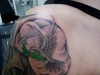 tat-1-160_new
