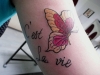 tat-1-172_new