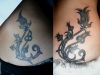 tat-1-135_new-horz