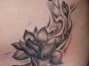 P1000385