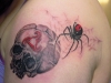 dscn0079