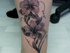 tat-1-013_new