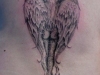 tat-1-116_new